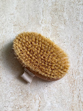 Load image into Gallery viewer, The Natural Bristle Dry Brush
